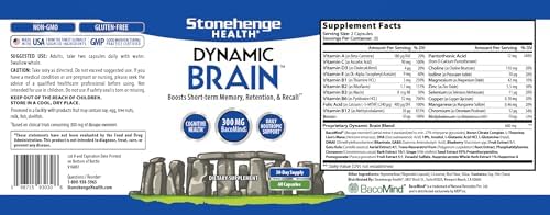 Dynamic Brain Stonehenge Health supplement for Memory Retention