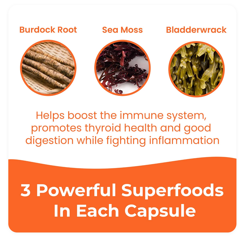 INFINITE AGE 1250mg Sea Moss Advanced Superfood, High-Potency, Vegan - 120 Count