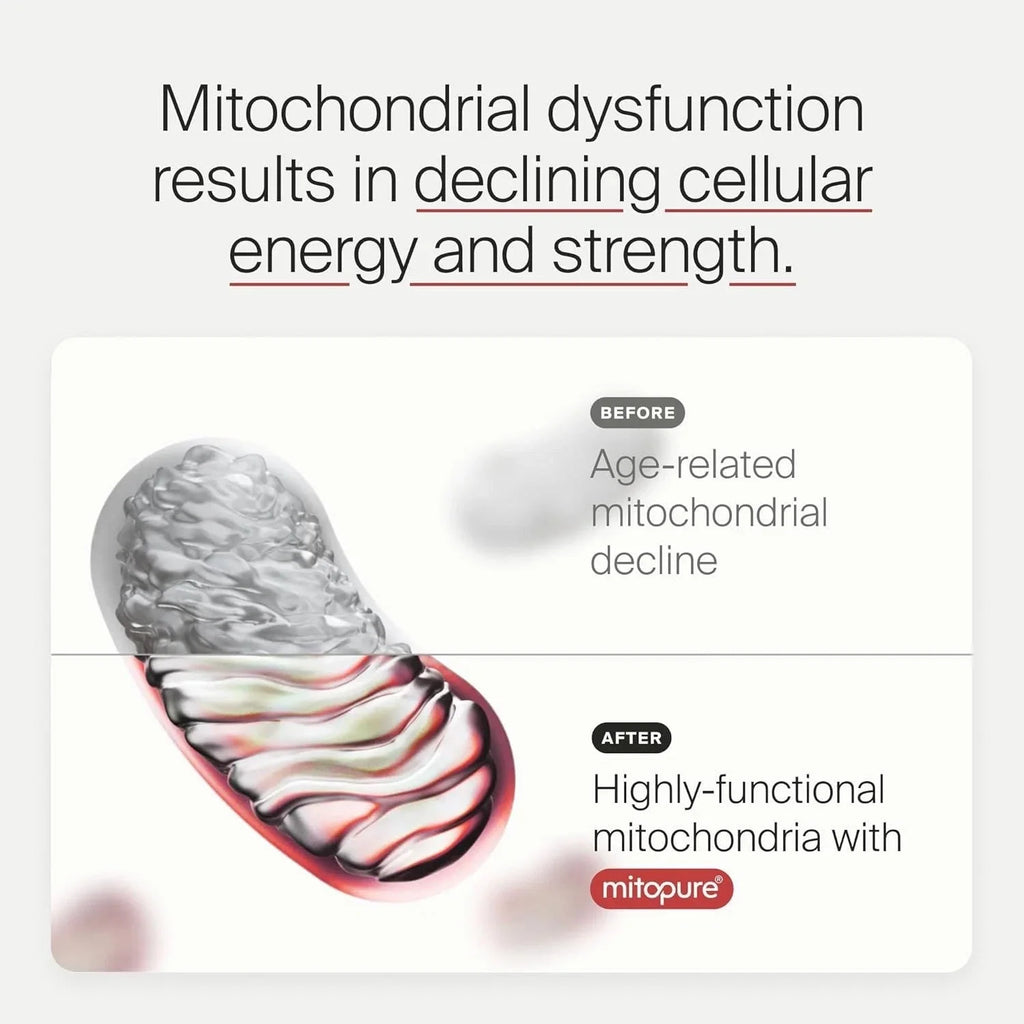 TimeLine Mitopure Supplement Longevity Urolithin A 60 Softgels