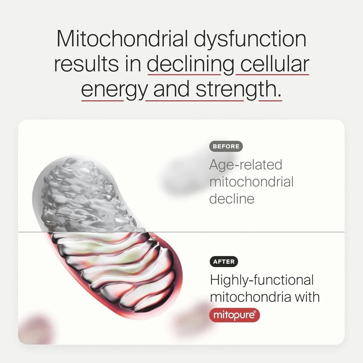 TimeLine Mitopure Supplement Longevity Urolithin A 60 Softgels
